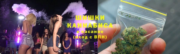 шишки Алексин