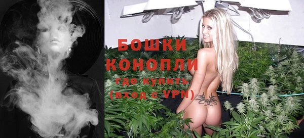 шишки Алексин