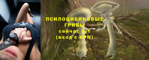 шишки Алексин