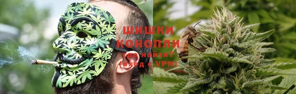 шишки Алексин