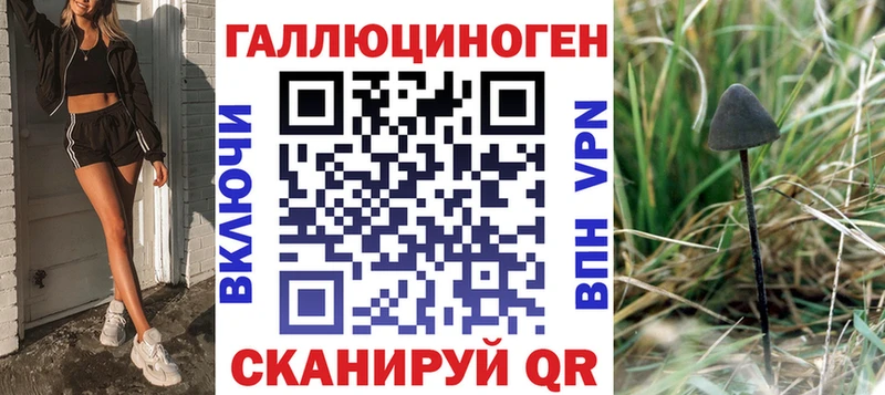 Псилоцибиновые грибы Psilocybe  Мирный 