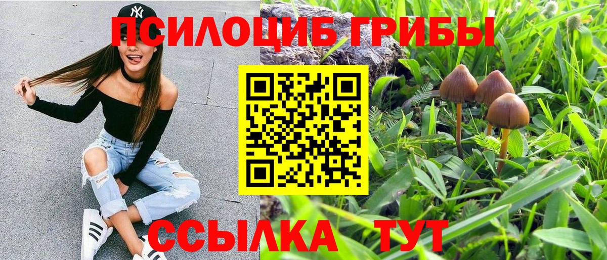 МЕФ   Бошки Шишки  Вход с VPN  Мирный  ГАШ  КОКАИН 