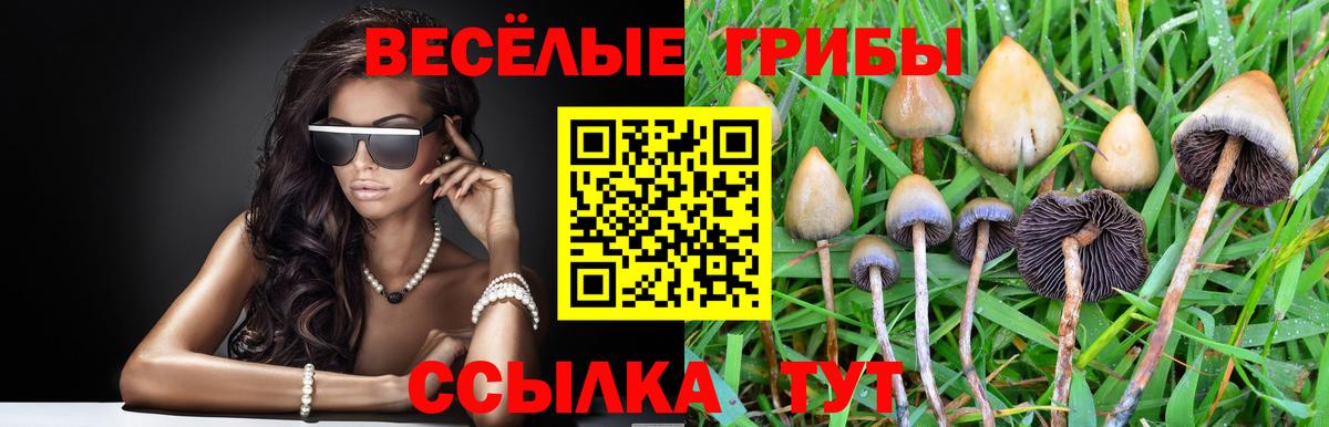 Мирный  Галлюциногенные грибы Magic Shrooms  Вход с VPN 